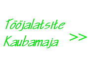 Tööjalatsite kaubamaja